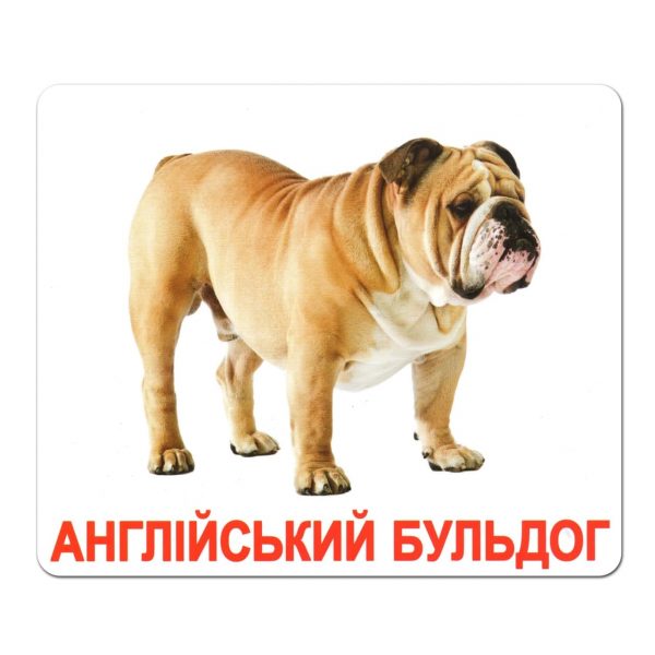 Картки Домана Породи собак
