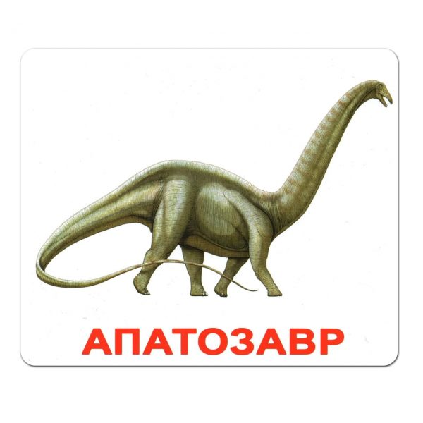 Картки Домана Динозаври