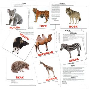 Картки Домана Дикі тварини
