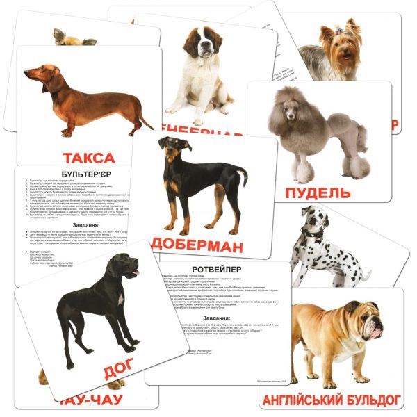 Картки Домана Породи собак