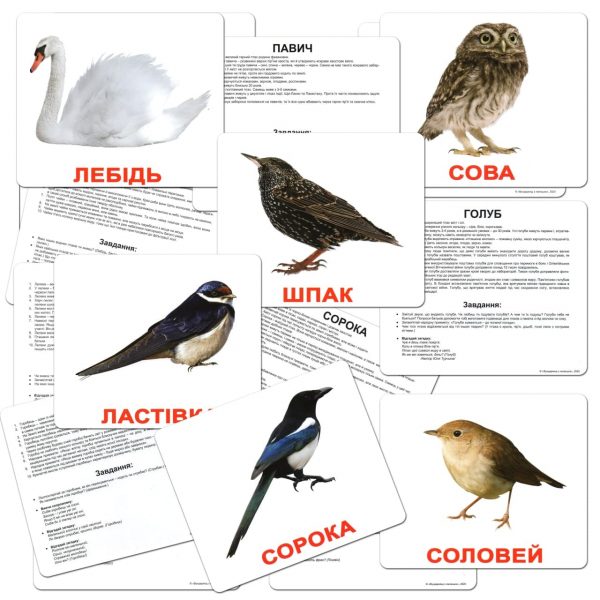 Картки Домана Птахи