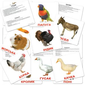 Картки Домана Свійські тварини