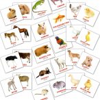 Набор карток Свійські тварини