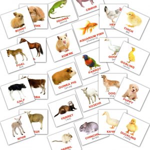 Набор карток Свійські тварини