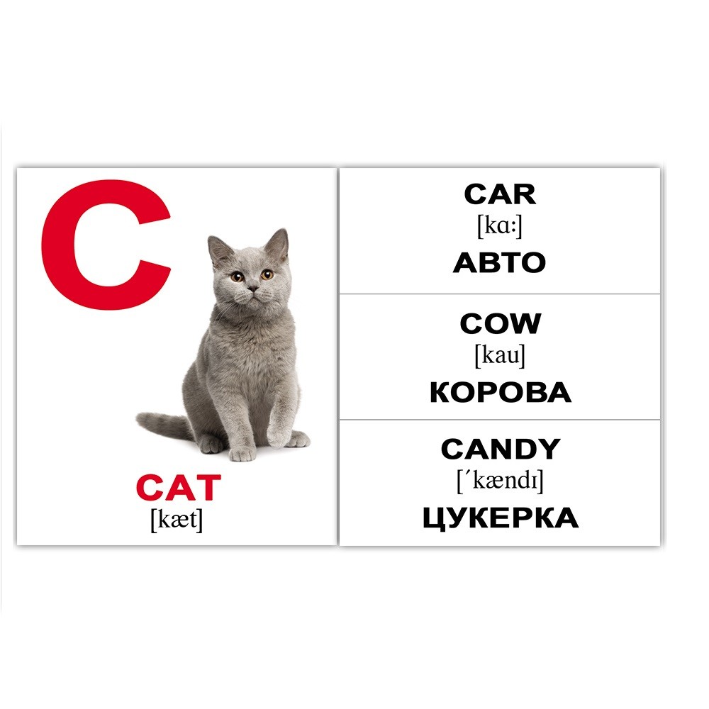 Как переводится кошек. Карточки с английскими словами Cat. Карточки на английском. Кот карточка по английскому. Кот по английски.