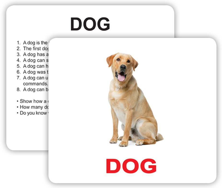 Слова dog cat. Карточка собака на английском. Щенок карточка английский. Английские карточки со словами Dog. Карточки Домана домашние животные.
